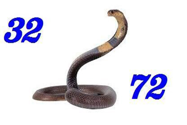 Giải mã giấc mơ lô đề để thử vận may trúng lớn